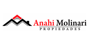 Logo Anahi Molinari