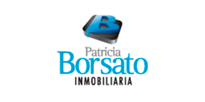 Logo Borsato