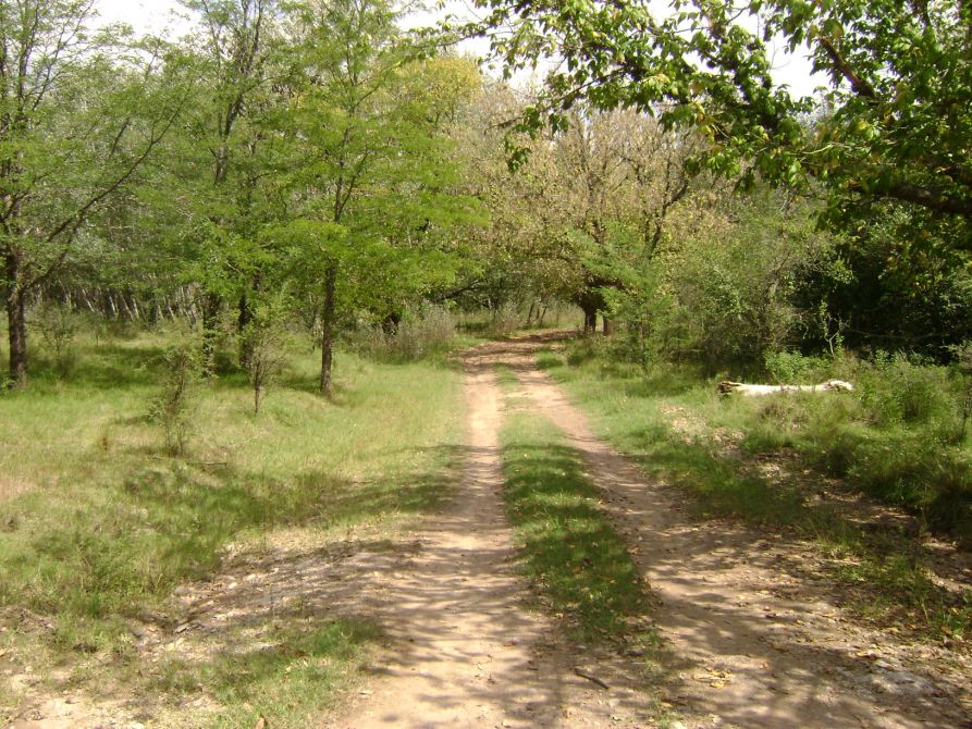 Resultado de imagen para casa grande cordoba