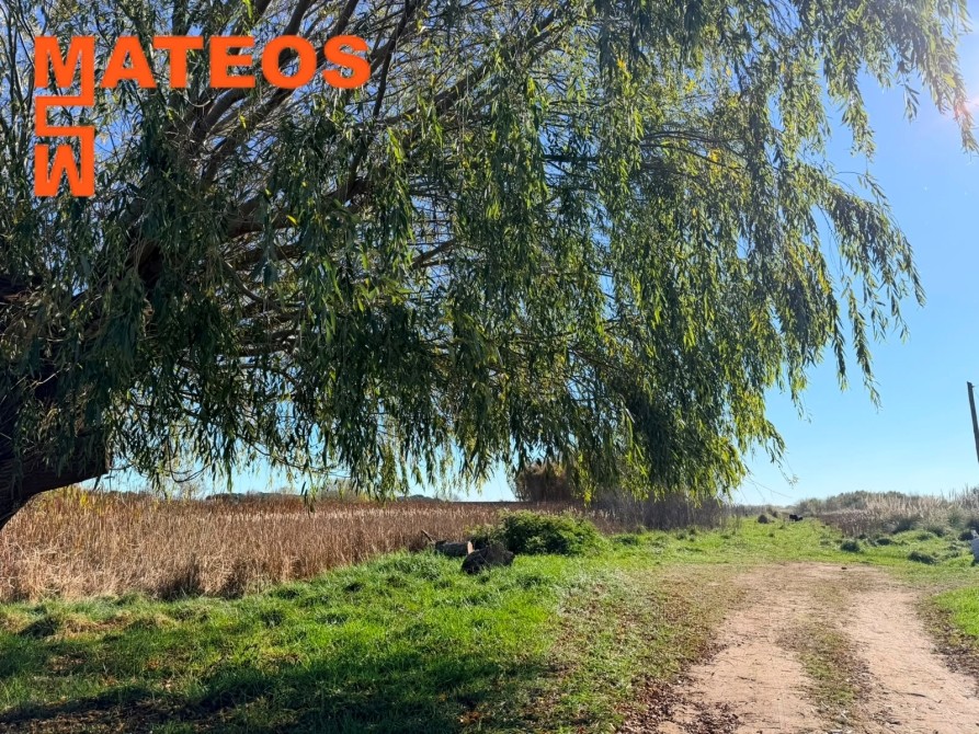 VENTA LOTES BALDIOS EN MAR DEL TUYU