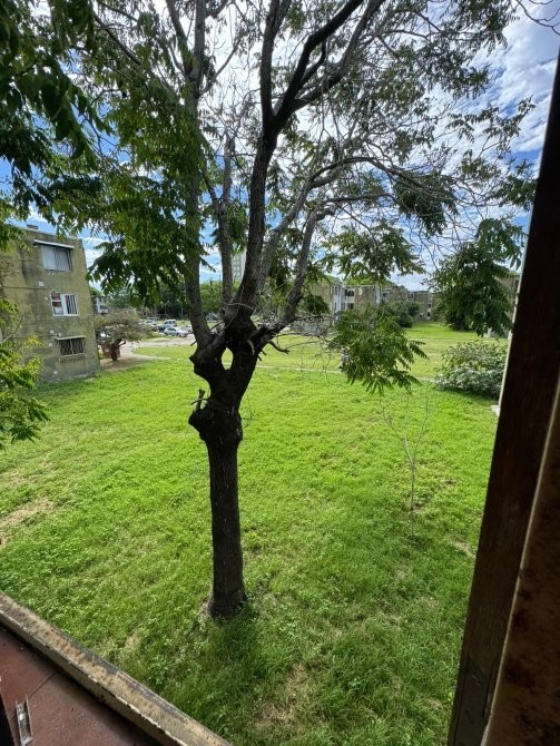 Dpto. 3 ambientes en muy buen estado, VENTA DIRECTA! - Barrio 420 Edif. 1, palier E