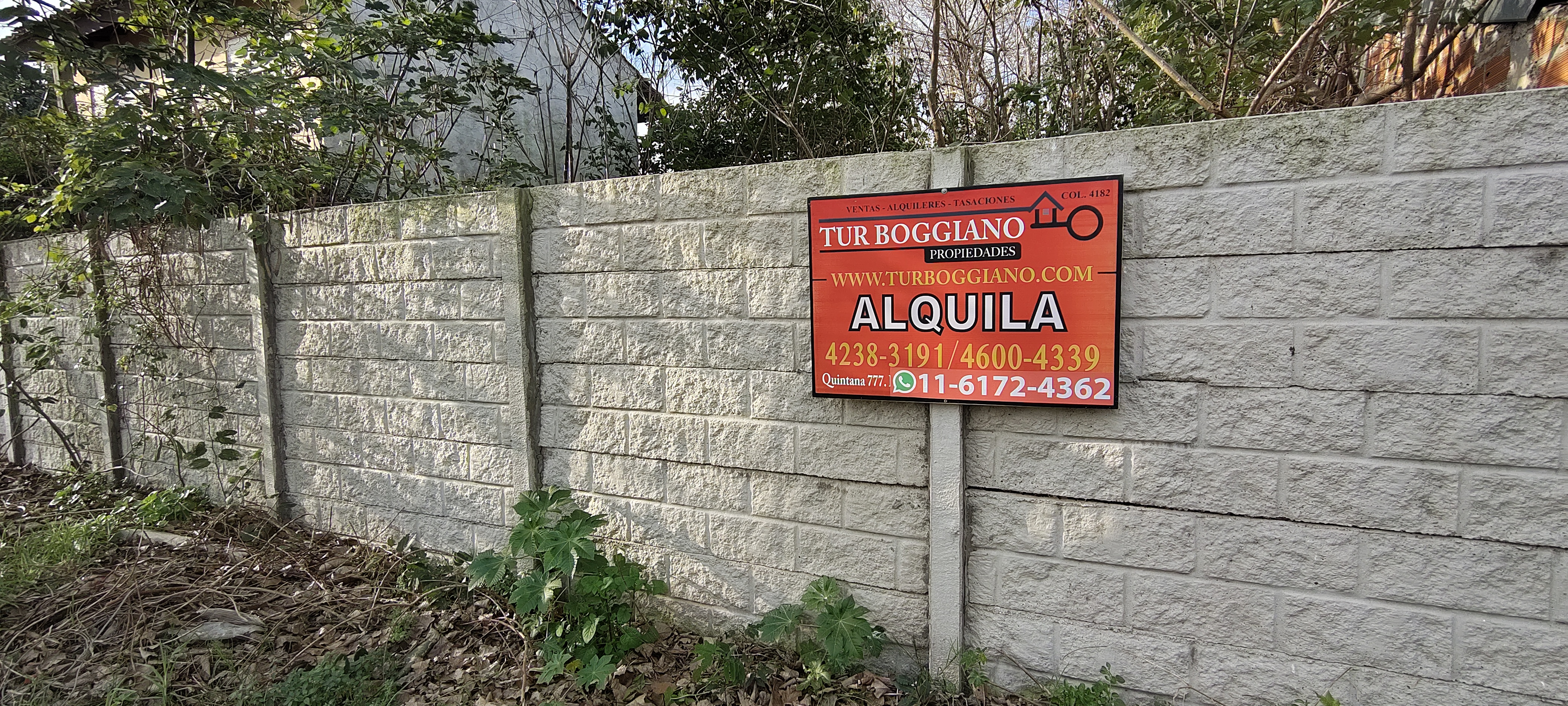 ALQUILA: LOTE
